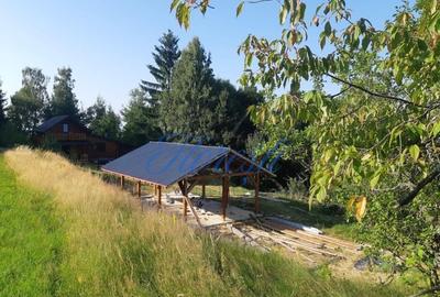 Cabana cu 3 dormitoare , Rasca - 11