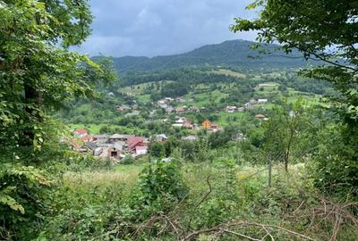 Teren intravilan 5360mp Bistrita Nasaud | Tiha Bargaului - 8