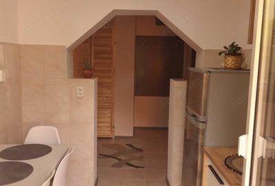 Apartament 2 camere in zona 1 Decembrie - 1