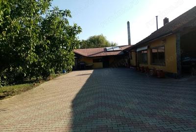 Proprietate de vanzare 3690 mp cu balta populata - 4