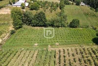 Casa la tara cu 30 ari Rasca - 12