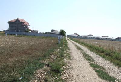 Domnesti-Ciocarliei, Afinului - 3