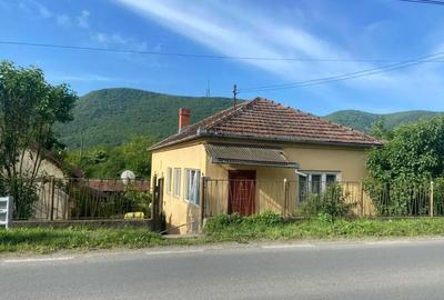 Casă cu 3 camere cu Teren 2000 Mp în Brănișca - 10