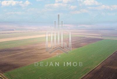 Teren de 5 mp, în Moacșa - 5