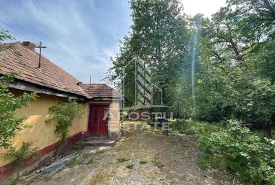 Proprietate unica in padurea de la Bazosul Nou. - 8