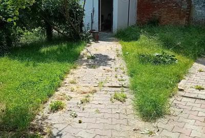 Casa 6 camere , ELISABETIN - langa Observatorul Astonomic - 16