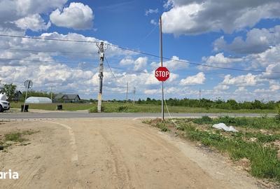 Teren de 9600 mp, în Niculești - 13
