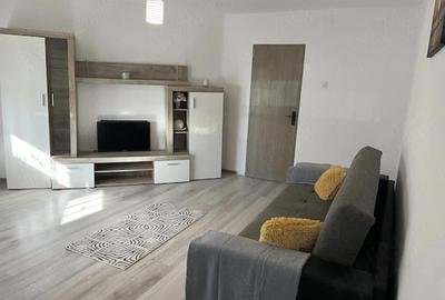 Apartament cu 2 camere decomandat în Lipovei - 4