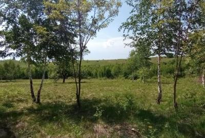 Teren de 900 mp, în Casele Micești - 7