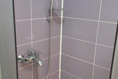 Garsoniera la curte, centrala proprie, Aparatorii Patriei metrou 5' mers pe jos - 11