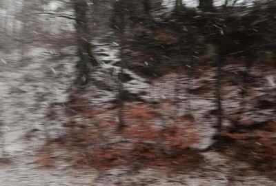 Teren intravilan situat in Busteni - 2