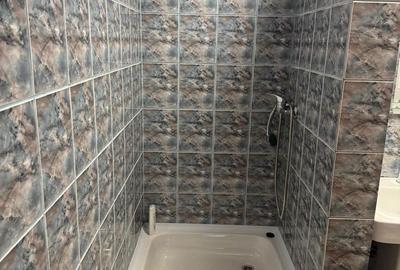 Apartament cu 3 camere decomandat, mobilat în Tudor Vladimirescu - 9