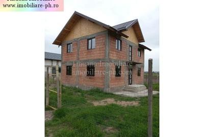 Tihuana Imobiliare:casa de vanzare (la rosu) - Lipanesti - 11