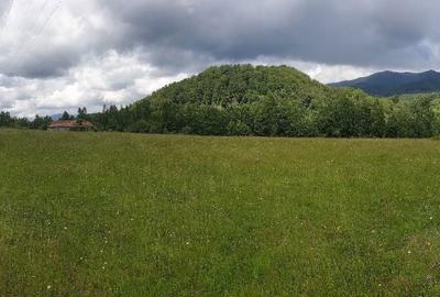 Teren de 12000 mp, în Uric - 7