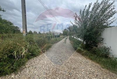 Teren 1300mp Campineanca / Intrare din Strada Hotarului - 2