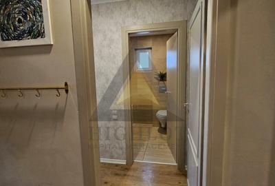 Apartament cu 3 camere semidecomandat, mobilat în Ștefăneștii de Jos - 15