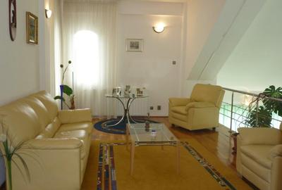 Vanzare vila/casa de vacanta - 10