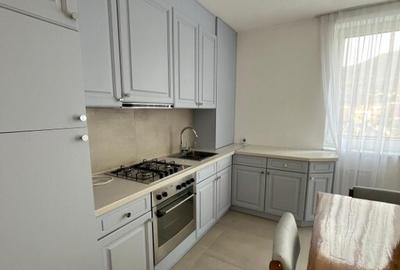Sau inchiriez apartament cu 2 camere, zona rezidentiala V.Borcotului Sau inchiriez apartament cu 2 camere, zona rezidentiala V.Borcotului - 3