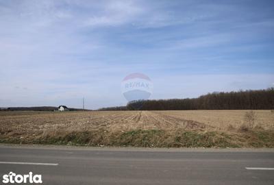 Teren de 9740 mp, în Bosanci - 8