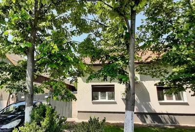 Casă cu 4 camere cu Teren 1101 Mp în Becicherecu Mic - 4