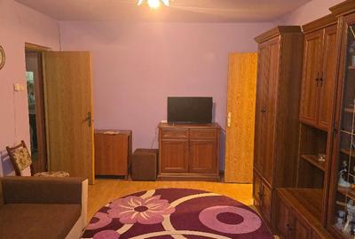 Vand apartament 2 camere in Deva, pe Al. Armatei, etaj 2, mobilat - 3
