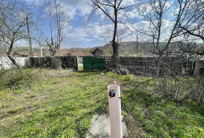 Casă cu Teren 3421 Mp în Șirineasa - 8