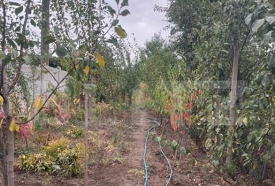 Casa 4 camere, 790 mp teren, zona Bariera Vilcii - 3