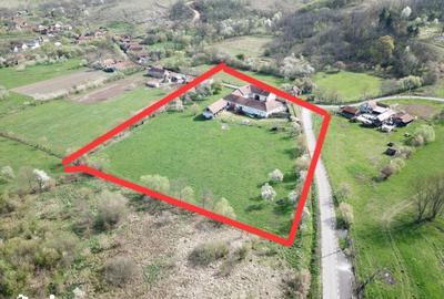 Casă cu 4 camere cu Teren 4330 Mp în Vărădia de Mureș - 7