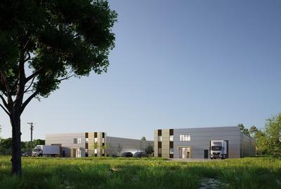 Hale noi de vanzare in Ciolpani - Proiect 2026 - 7