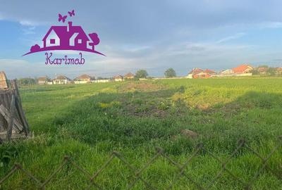 Casa in localitatea Ianosda - 11