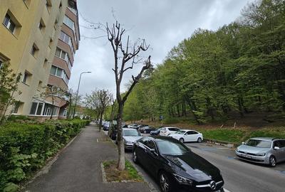 Apartament cu 2 camere decomandat, mobilat în Răcădău - 10