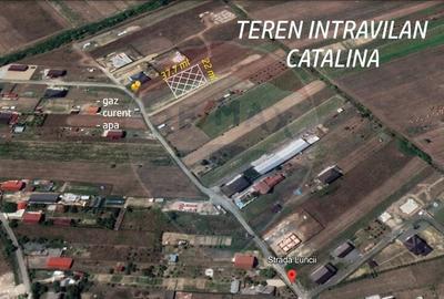 Teren de 1000 mp, în Cătălina - 4