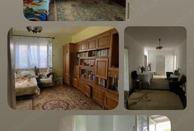 Casa de vanzare in Ta?nad ideala pentru locuit sau investi?ie turistica - 3