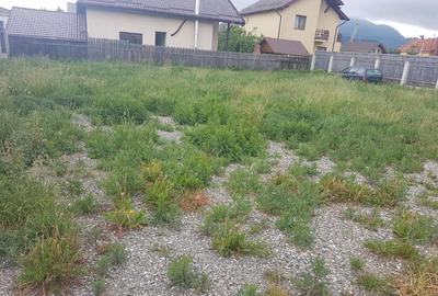 Teren Sacele-Lefrumarin Teren Sacele-Lefrumarin - 2