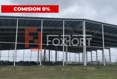 Spațiu industrial, 5500 mp în Sânandrei