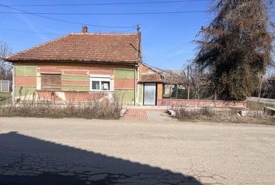 Spațiu comercial, în Borș - 4
