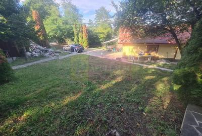 Casa de vanzare in Breaza - Zona Capul Campului - 38