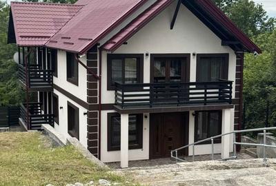 Casă cu 6 camere cu Teren 2800 Mp în Milcoiu - 17