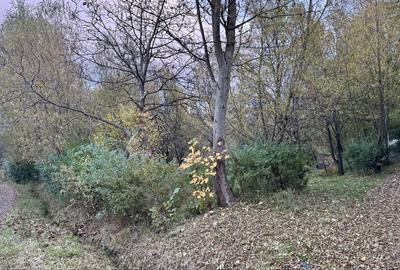 Spațiu comercial, în Feleacu - 1