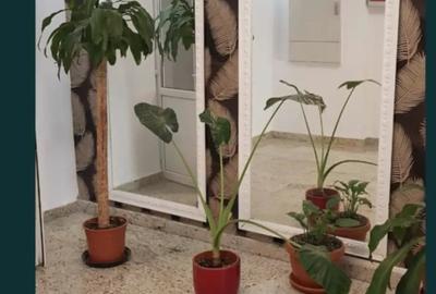 Particular inchiriez garsoniera cf 2 Titan Ozana - 2