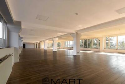 Spațiu comercial, de 650 mp, în Central - 6