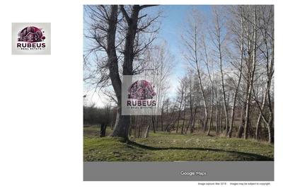 Teren extravilan de 10000 mp, în Cocorova - 1