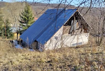 Casă cu 2 camere cu Teren 4000 Mp în Ursoaia - 1