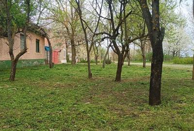 Casă cu 2 camere în Exterior Vest - 4