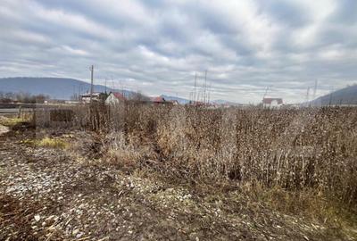 Teren intravilan, 10 ari, ideal pentru casa/hala, zona Sarat - 4