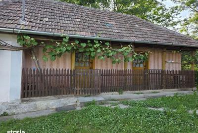 Casă cu 3 camere în Corni - 2