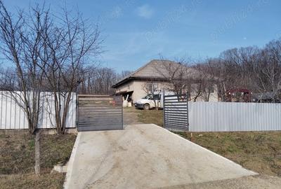 Casă cu 3 camere cu Teren 13000 Mp în Stănița - 3