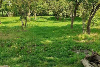 Casă cu 3 camere în Exterior Vest - 1