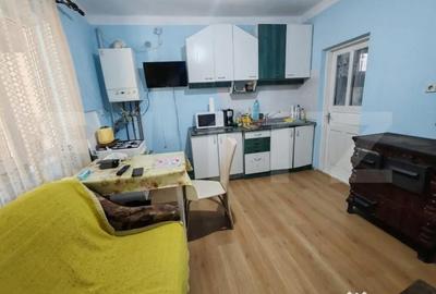 Casă cu 1 camere cu Teren 3000 Mp în Aluniș - 2