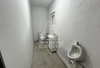 Service auto utilat,  Cheveresul Mare, 20 km de Timisoara. - 8